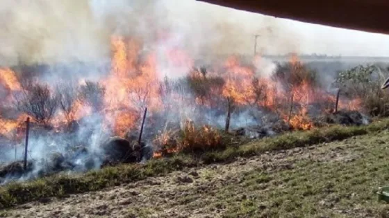 Siguen los incendios en Corrientes: registraron 14 focos y el fuego avanza