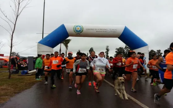 Foto de la Maratón del año pasado