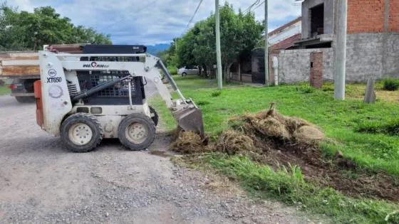Esta semana se realizan trabajos de descacharrado en San Luis