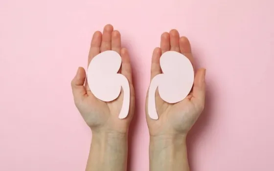 Actividades para concientizar sobre la enfermedad renal crónica