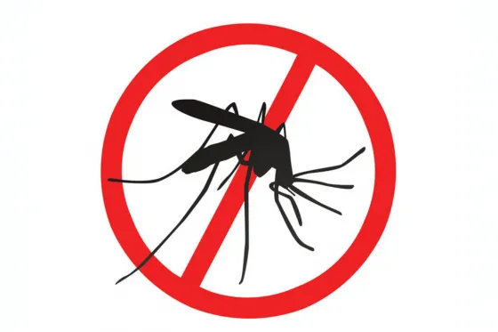 Dengue