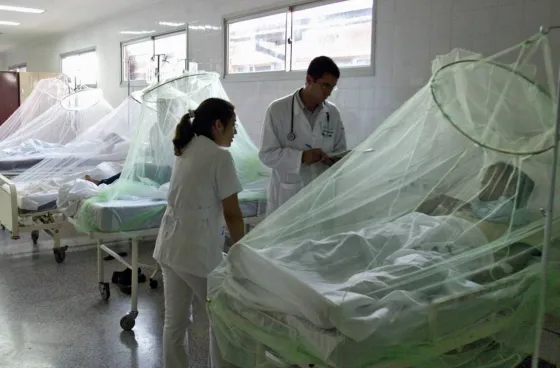 Una mujer murió tras infectarse de dengue en Jujuy