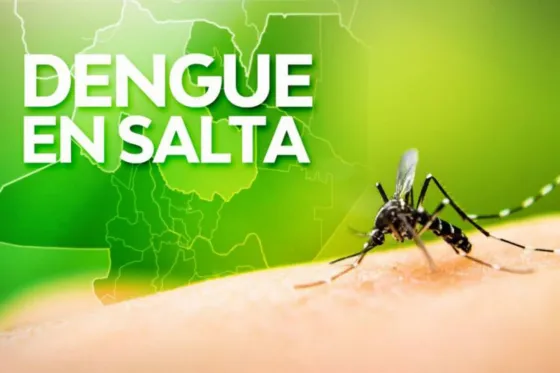 El dengue precupa a Salta: Se registraron 604 nuevos casos
