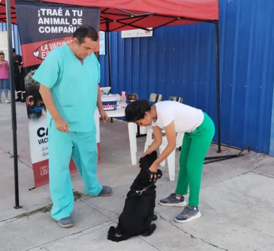 Los puntos de vacunación antirrábica visitarán Villa Estela y barrio Ceferino