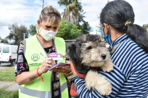 Día del Animal: organizan actividades para este fin de semana