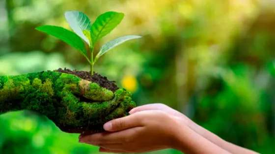 Día Mundial del Medio Ambiente: es hora de proteger el ambiente entero