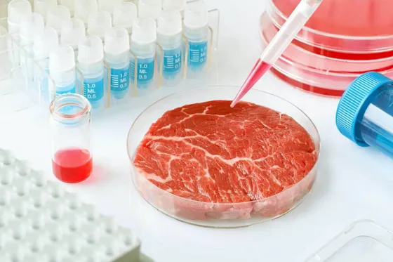 ¿Una nueva era de la alimentación? Cómo se elabora la carne de laboratorio aprobada en EEUU