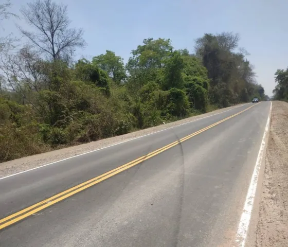 Investigan un siniestro vial con víctimas fatales en Aguas Blancas