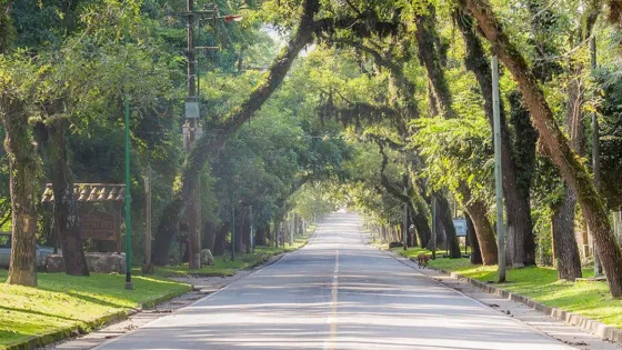 San Lorenzo evalua una posible entrega de terrenos al Arzobispado