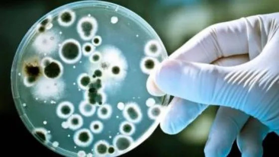 El Ministerio de Salud emitió una alerta por el aumento de casos de Streptococcus pyogenes