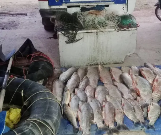 La Policía secuestró piezas ictícolas y redes de pesca furtiva