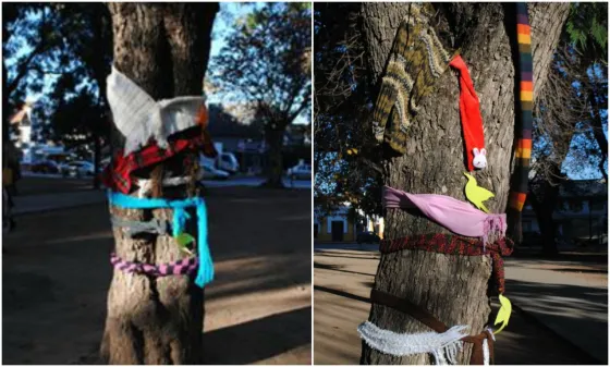 Imágenes de la Asociación salteña Síndrome de Down