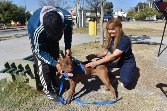 Vacunación antirrábica: trabajarán en plaza Alvarado, B° San Ignacio y Parque de la Familia