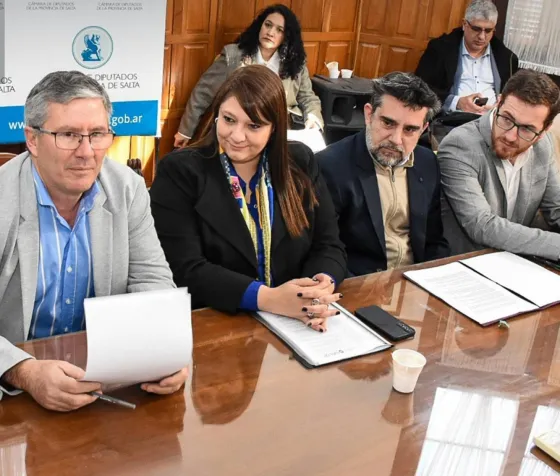 Diputados aprobó la modificación de la ley de procemientos mineros