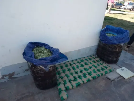 Secuestraron más de 55 kilos de hojas de coca en Cafayate