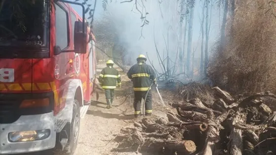 Se registraron cinco incendios en Cafayate durante el fin de semana largo
