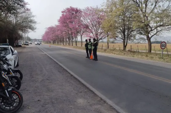 Detectaron más de 1400 infractores viales durante el fin de semana