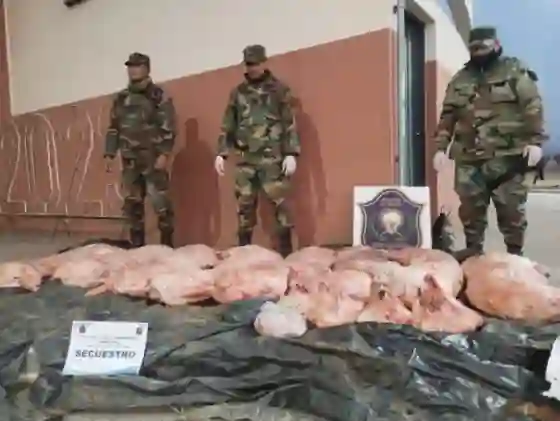 Decomisaron más de 200 kilos de carne no apta para el consumo humano