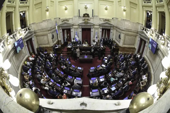 El Senado comienza el tratamiento de la reforma en Ganancias