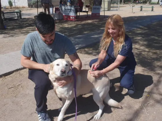 Vacunación antirrábica: continúan en barrio Scalabrini Ortiz y luego en El Círculo I
