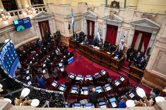 El Senado trata el proyecto de devolución del IVA