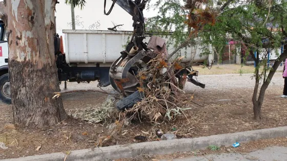 Comenzaron las tareas de descacharrado para combatir el dengue