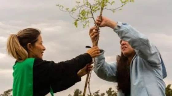 Día Internacional contra el Cambio Climático: alerta y acción