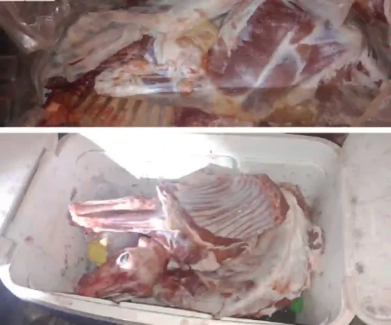 Secuestraron 90 kilos de carne no apta para consumo humano