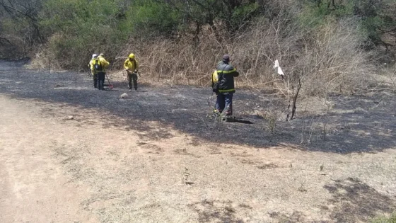 Salta bajó de 250 mil a 15 mil hectáreas incendiadas con respecto al año pasado