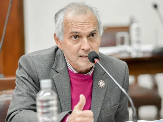 Gauffin: "la obra pública no se va a eliminar"