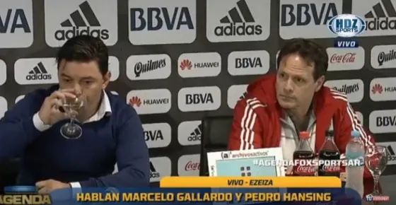 Tapando el sol con un dedo: Gallardo asegura que hay pruebas que explican todo