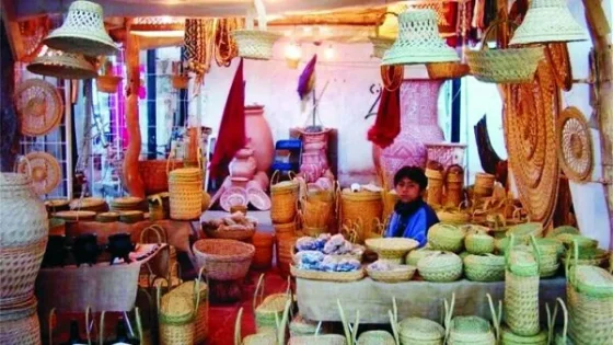 La 43° edición del Festival y Feria Artesanal de San Carlos ya tiene fecha