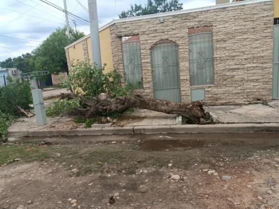Familias evacuadas y destrozos por el temporal