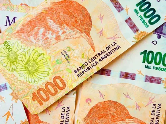 Billetes de 20 y 50 mil pesos: la medida económica que impulsaría el Gobierno