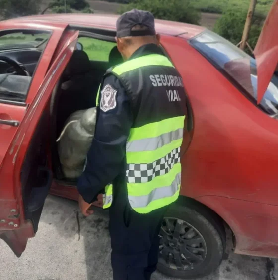 Secuestraron casi un millón en mercadería ilegal en el ingreso a Salta