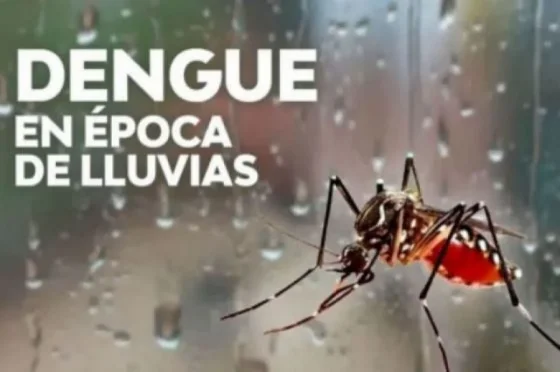 Instan a reforzar los cuidados para la prevención del dengue