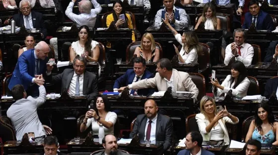 Sin acuerdos clave, Diputados debate en particular la Ley Bases