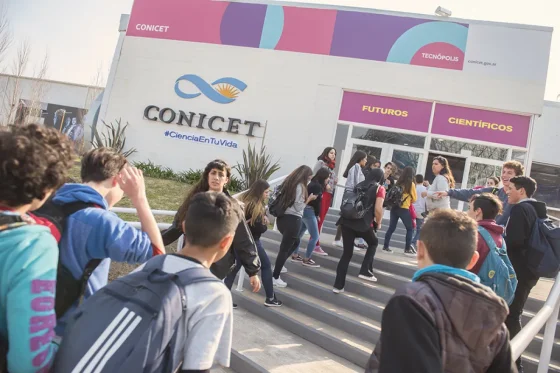 El Conicet anunció que redujo a menos de la mitad las becas