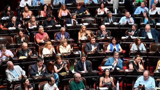 La Bicameral define autoridades para discutir el DNU