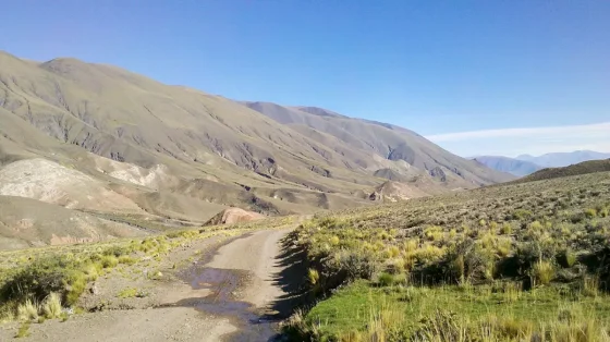 Investigan el hallazgo de restos óseos en Rosario de Lerma