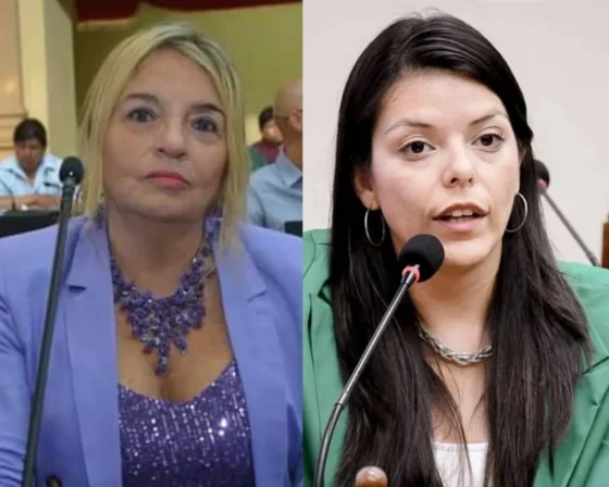 Saicha a los Diputados: “es gravísimo que no representen los intereses de los salteños”