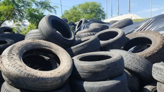Recolectaron 3.400 neumáticos en desuso tras el Neumatón