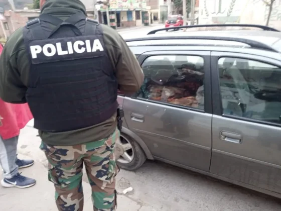 Decomisaron 100 kilos de carne no apta para el consumo