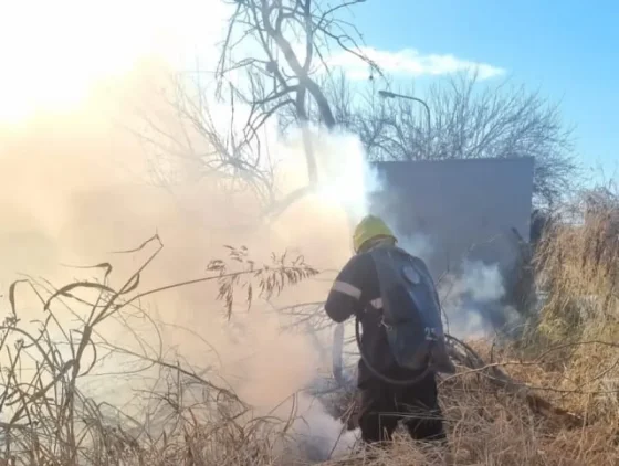 Recomendaciones para evitar incendios forestales