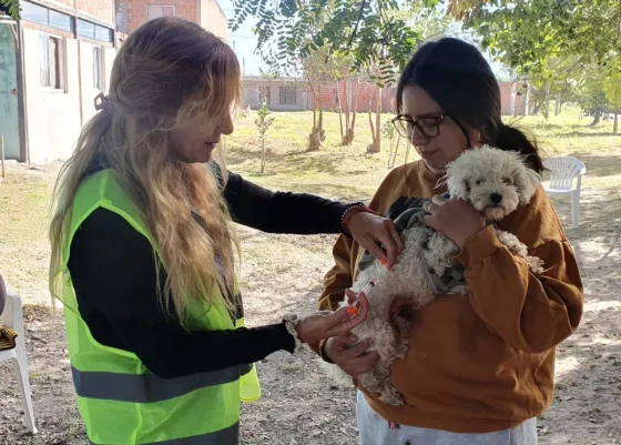 Así será el cronograma de vacunación antirrábica de la próxima semana