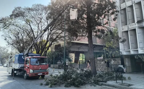 Milagro: se realiza el despeje de cableado en calles del recorrido de la procesión