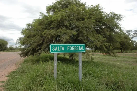 Pedro Sandéz denunció irregularidades en el traspaso de Salta Forestal y apuntó contra Olmedo