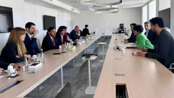 Avanza el proyecto Centenario Ratones: comenzará a exportar litio en 2025