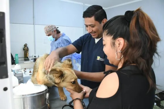 Conocé los servicios que brinda el hospital municipal de Salud Animal