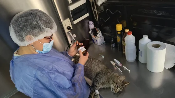 El Móvil de Castración atenderá la próxima semana en Palermo 3